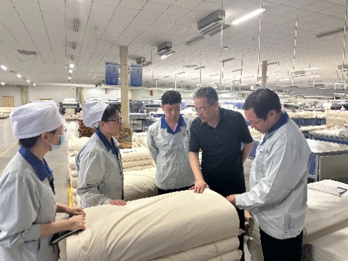 凯时AG集团党委副书记、副董事长、总司理杨瑞刚赴恒盛分公司督导调研